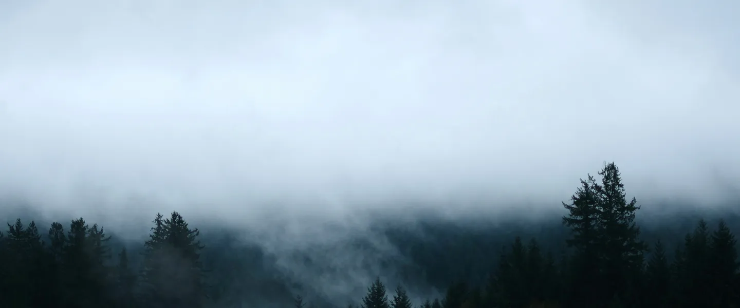 霧に包まれた森林の風景